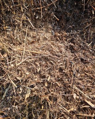 compost 