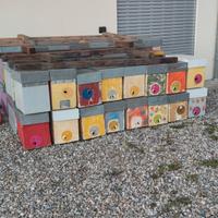 cassettini arnie apicoltura polistirolo