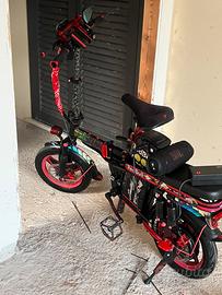 Bici elettrica