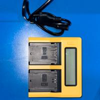 CARICABATTERIE PATONA PER SONY