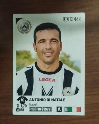 ANTONIO TOTO' DI NATALE PANINI 2011-12