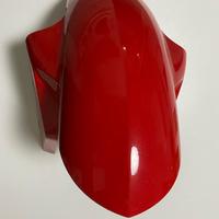 Parafango anteriore bmws1000rr