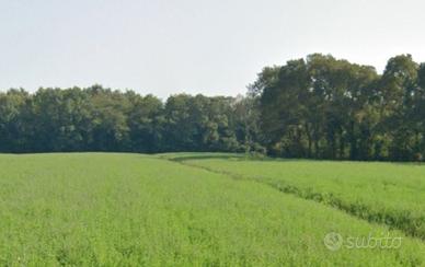 Lotto di terreno agricolo Mirano