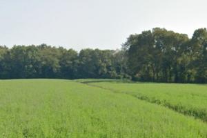 Lotto di terreno agricolo Mirano