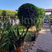 Villetta a schiera 280mq a Mascali