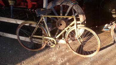 Biciclette vari modelli