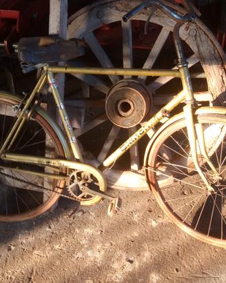 Biciclette vari modelli