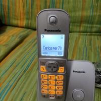 Panasonic - Silver - Cordless