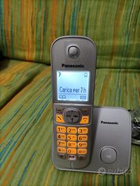 Panasonic - Silver - Cordless