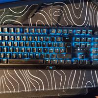RAZER BlackWidow V3 Tenkeyless (green switch) 