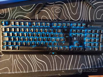 RAZER BlackWidow V3 Tenkeyless (green switch) 