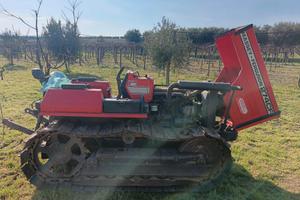 Trattore Cingolato