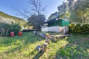 TER. AGRICOLO A TIVOLI