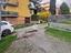 Immagine 19