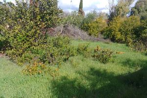 Terreno Edificabile San Gavino Monreale Zona B