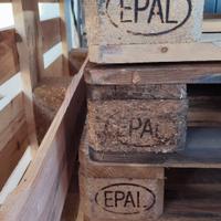 Epal usate in buono stato