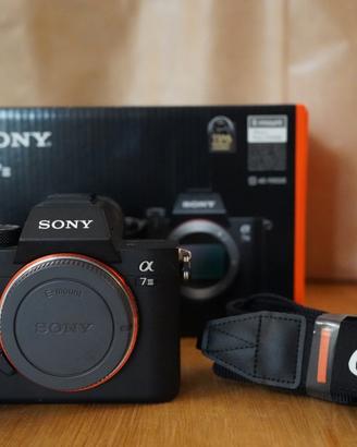 Sony Alpha 7III 