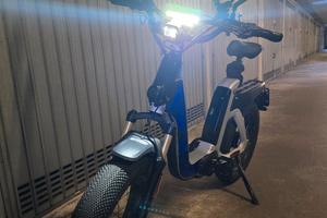 Fantic Issimo 45 (S-pedelec) + accessori! 