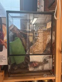 Teca Insetti 35x50x25