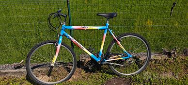 Bicicletta uomo