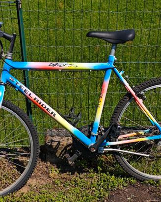 Bicicletta uomo