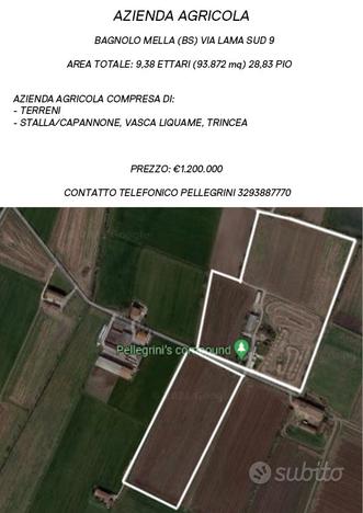 Azienda agricola / terreni e stalla