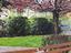 Immagine 23
