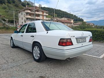 splendida W124 250D 20V ASI CRS come nuova 