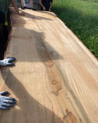 Tavole legno cedro