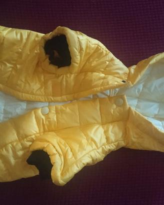 Cappottino per cane piccola taglia firmato