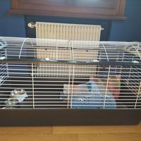 Gabbietta per roditori