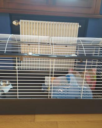 Gabbietta per roditori