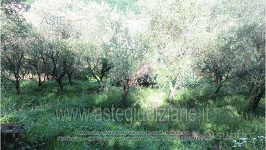 Rustico/Casale/Corte Pescia [A4276151]