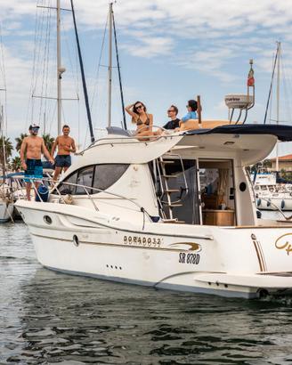 Sessa Dorado 32