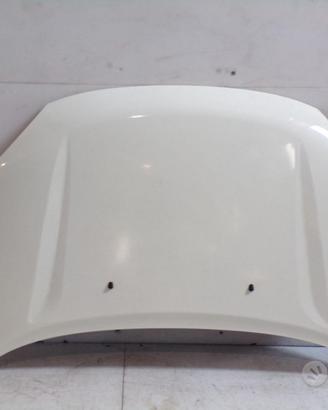 Cofano anteriore DR5 2012