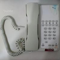 Telefono professionale