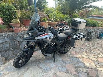 MORBIDELLI T1002VX