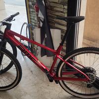 BMC Twostroke 01 Five mtb
