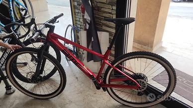 BMC Twostroke 01 Five mtb