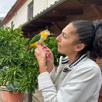Baby Pappagallo Caicco