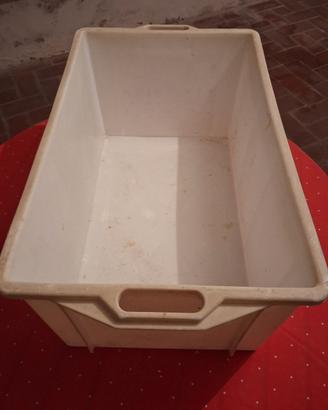 Contenitori 