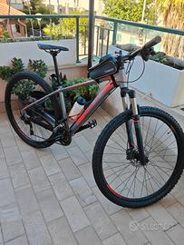 MTB Cube CMPT 29 + Portabici 