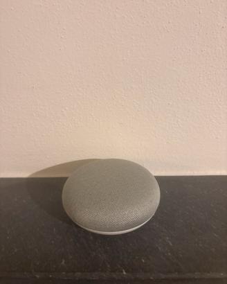 Google Home Mini