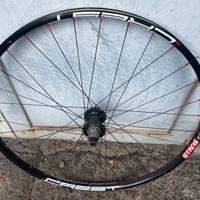 Ruota posteriore
