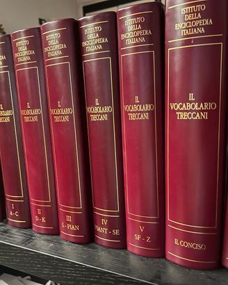 DIZIONARIO TRECCANI