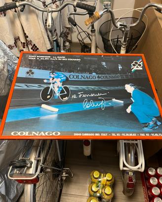 Poster Colnago