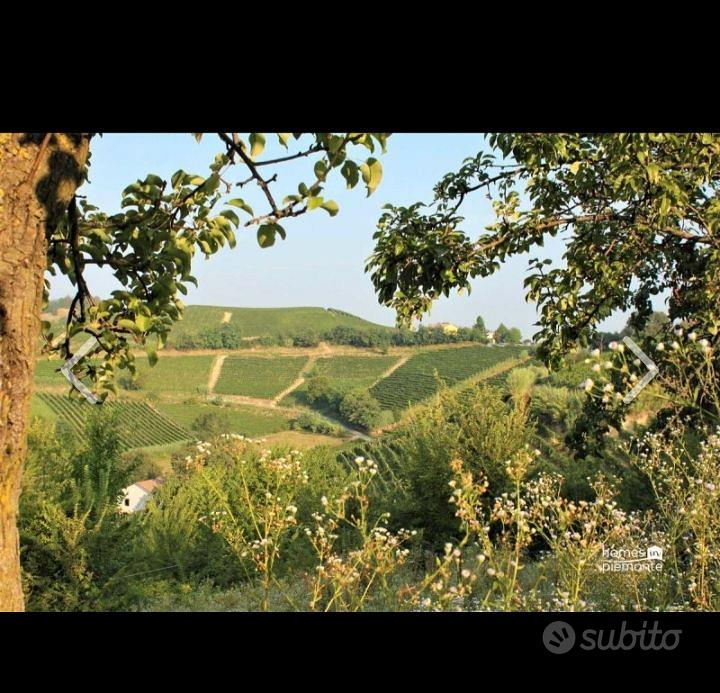 Casa – Vaglio Serra, Asti - Vista 5