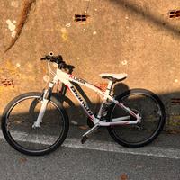 Bicicletta bianchi kuma 4600