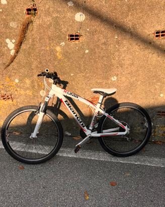 Bicicletta bianchi kuma 4600