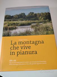 Catalogo: la montagna che vive in pianura